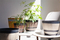 Vintage-Style Wine Barrel Flowerpot