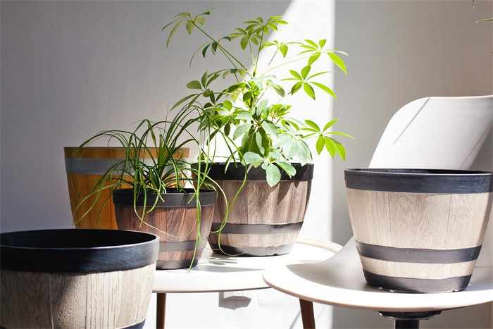Vintage-Style Wine Barrel Flowerpot
