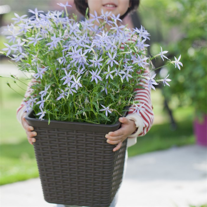 Pe Plastic Artificial Rattan Flower Pot07