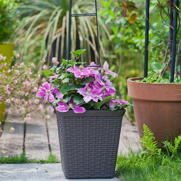 Spray Plastic Flower Pot06