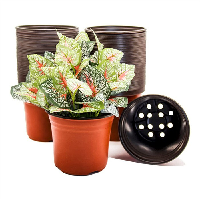 product-700-700