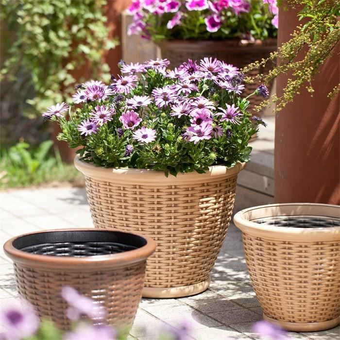 12" Rattan Plant Pot