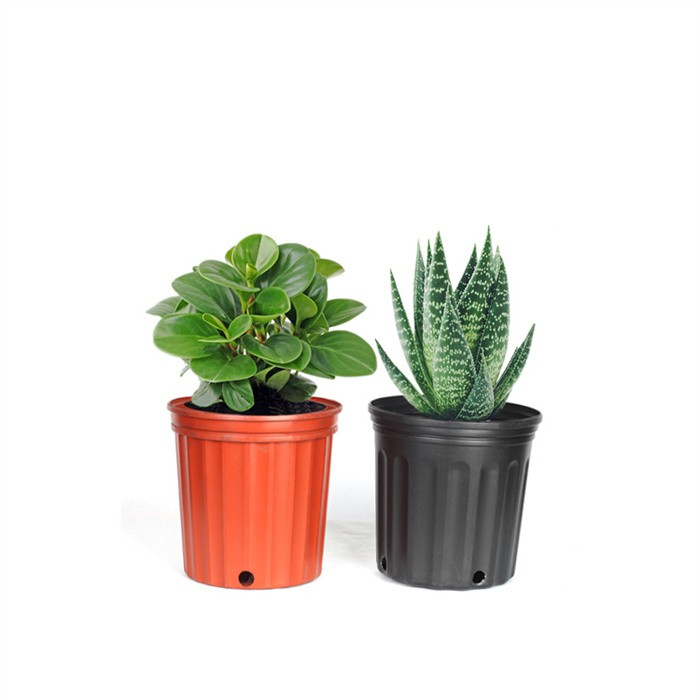 2 Gallon Round Pot02