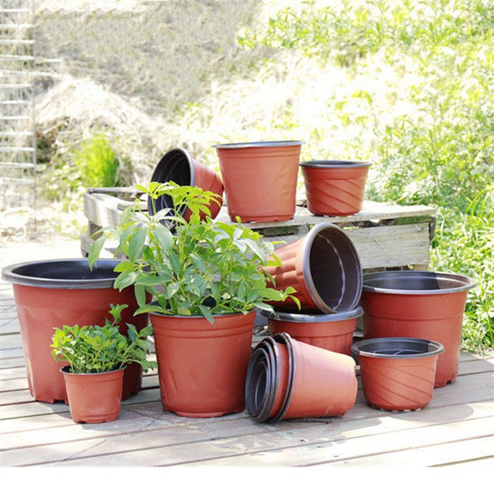 Round Seedling Pot Tray