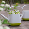 Decorative Plastic Watering Cans