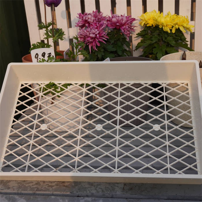 Square Nursery Pots Tray06