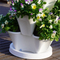 Strawberry Growing Tower
