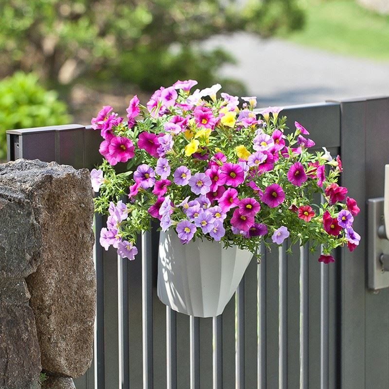 Colored Hanging Planter