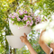 PP Plastic Hanging Basket