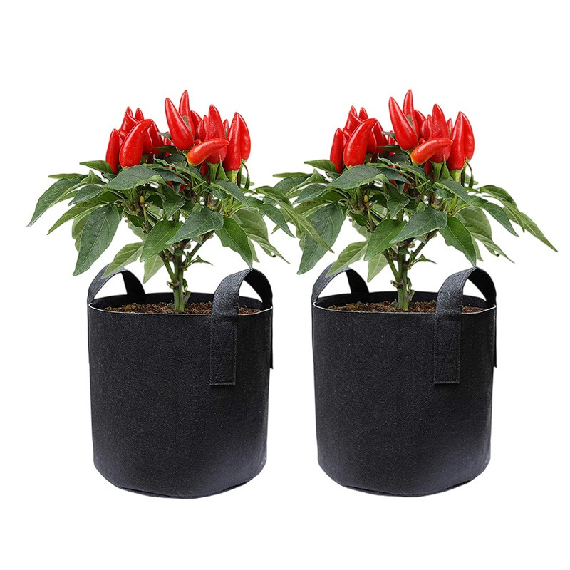 Plant Grow Bag