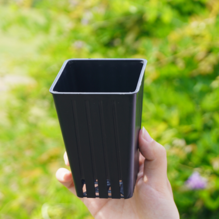 3 inch PP Smooth Ribbed Square Wide Opening Planter for Greenhouse