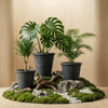 12 Inch HDPE Industrial Tall Plastic Planter for Commercial Entrance