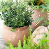 16 Inch HDPE Matte Sphere Planter for Commercial Hotel Landscape