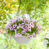 12 Inch PP Matte Ribbed Nordic Bowl Hanging Pot for Balcony