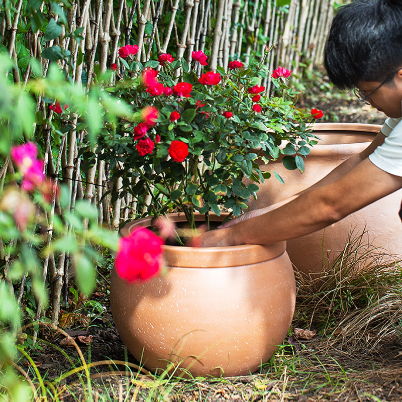 16 Inch HDPE Matte Sphere Planter for Commercial Hotel Landscape
