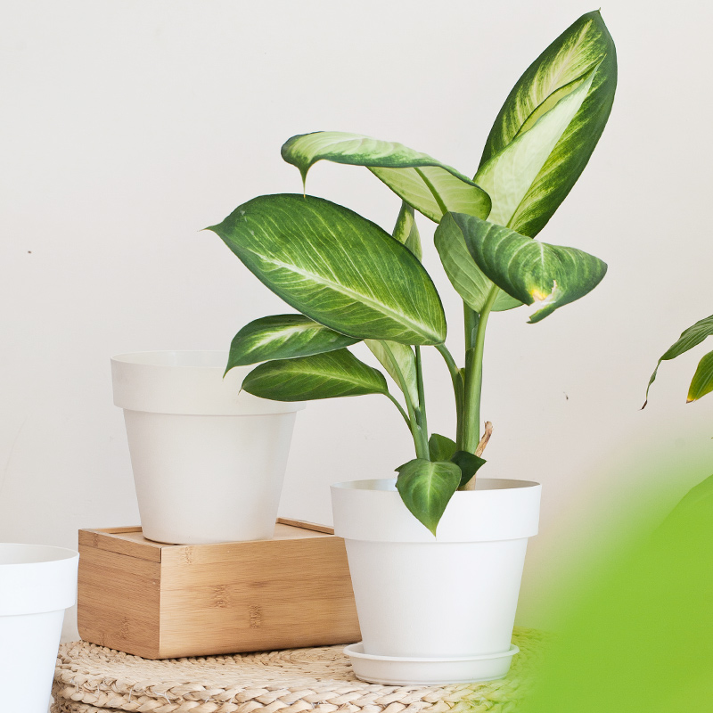 7 inch PP Smooth Minimalist Flower Pot for Indoor Decoration