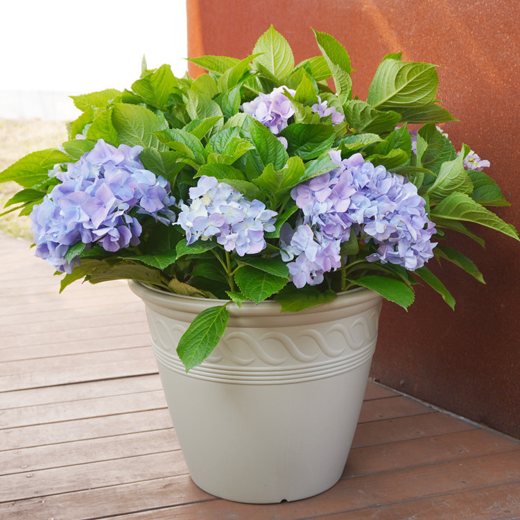 15-Inch HDPE Smooth European Roman Wide Opening Flower Pot for Garden