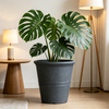 12 Inch HDPE Industrial Tall Plastic Planter for Commercial Entrance
