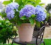 11 Inch HDPE Terracotta Look Roman Flower Pot for Balcony Patio