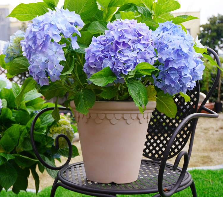 11 Inch HDPE Terracotta Look Roman Flower Pot for Balcony Patio