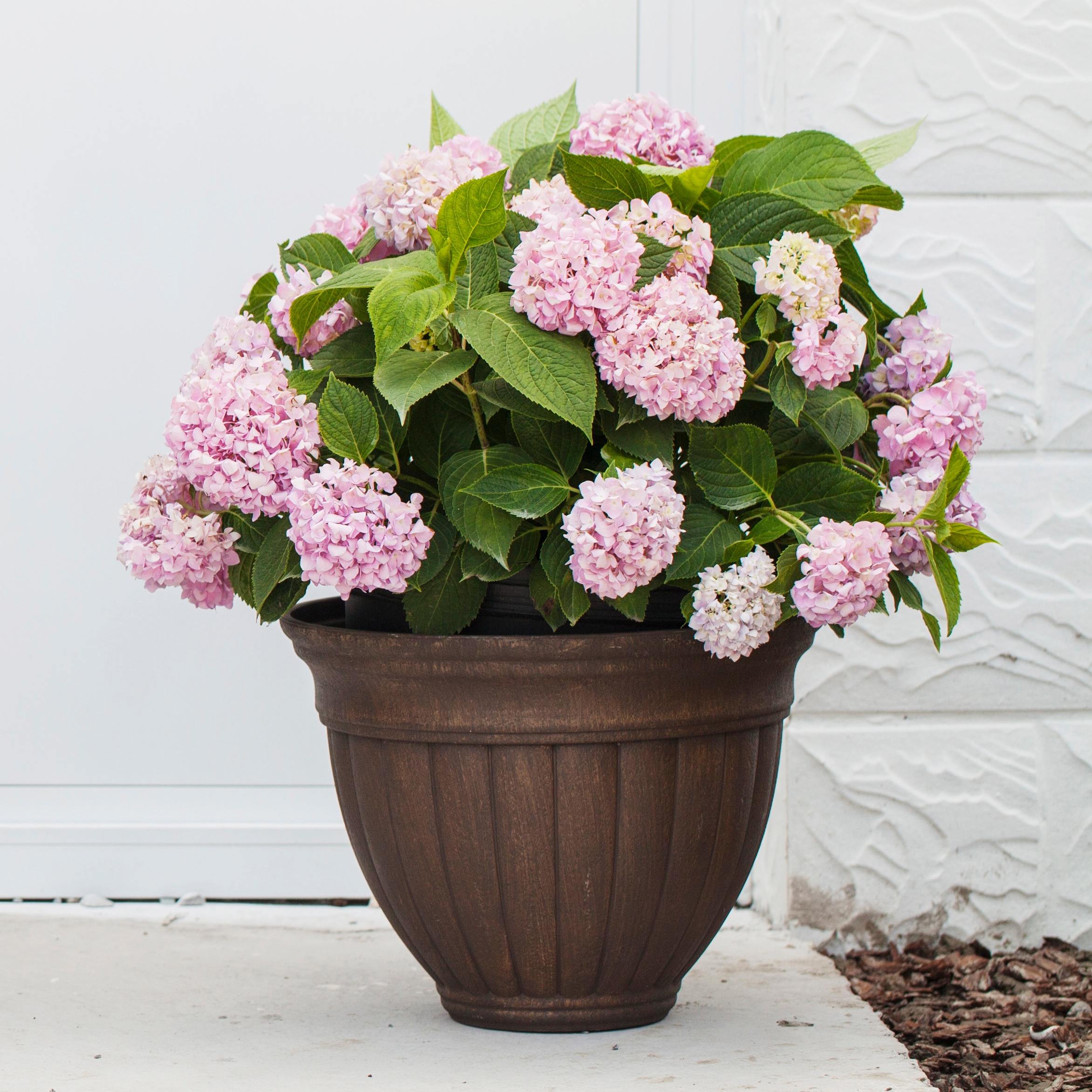 16 Inch EB Stone Look European Wide Opening Flower Pot for Garden