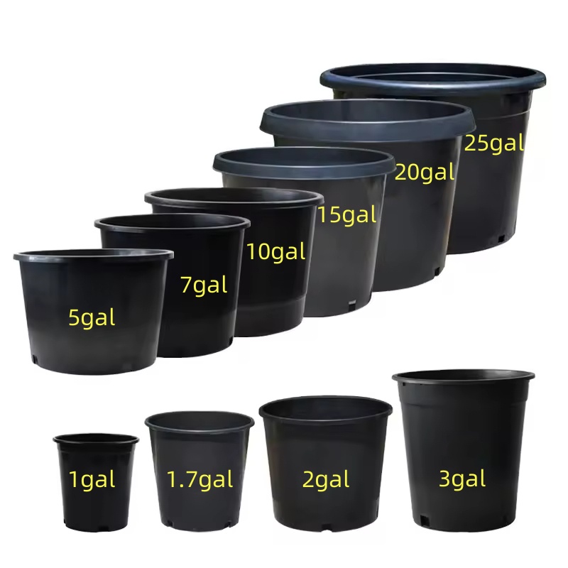 Injection Molded Vs Blow Molded Plastic Pots: Key Differences Explained