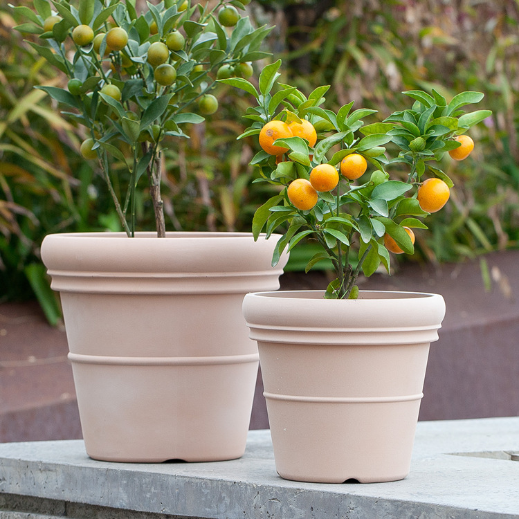 9 Inch HDPE Terracotta Look Roman Plastic Planter for Garden Patio