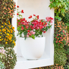 14 Inch HDPE Matte Minimalist Egg Shape Indoor Flower Pot for Home