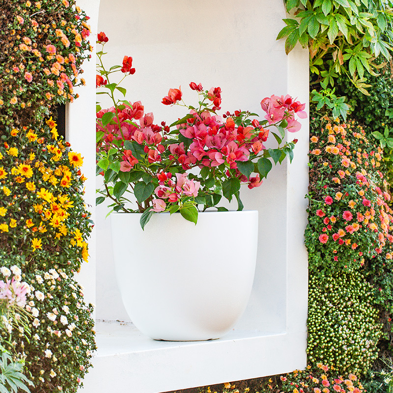 14 Inch HDPE Matte Minimalist Egg Shape Indoor Flower Pot for Home