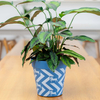 9 Inch PP Concrete Look Modern Plastic Planter for Balcony Display