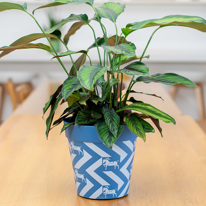 9 Inch PP Concrete Look Modern Plastic Planter for Balcony Display