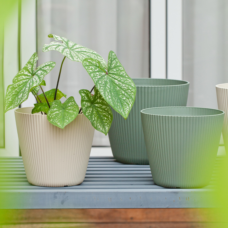 9 Inch PP Ribbed Texture Minimalist Plastic Planter for Home Garden
