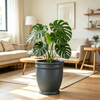 12 Inch HDPE Matte European Egg Shape Plastic Planter for Hotel Porch