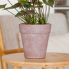 6 Inch EB Stone Look Nordic Plastic Planter for Balcony Decor
