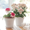 7 inch PP Smooth Minimalist Flower Pot for Indoor Decoration