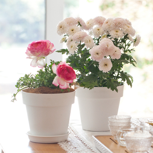 7 inch PP Smooth Minimalist Flower Pot for Indoor Decoration