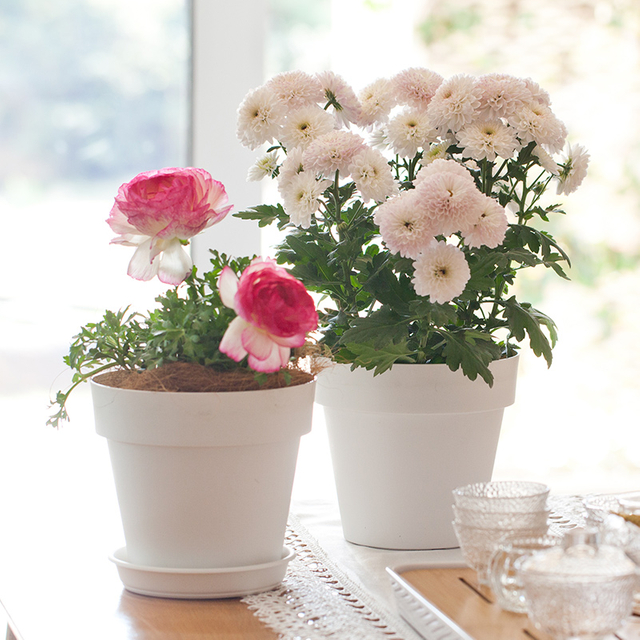 7 inch PP Smooth Minimalist Flower Pot for Indoor Decoration