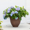 16 Inch EB Stone Look European Wide Opening Flower Pot for Garden