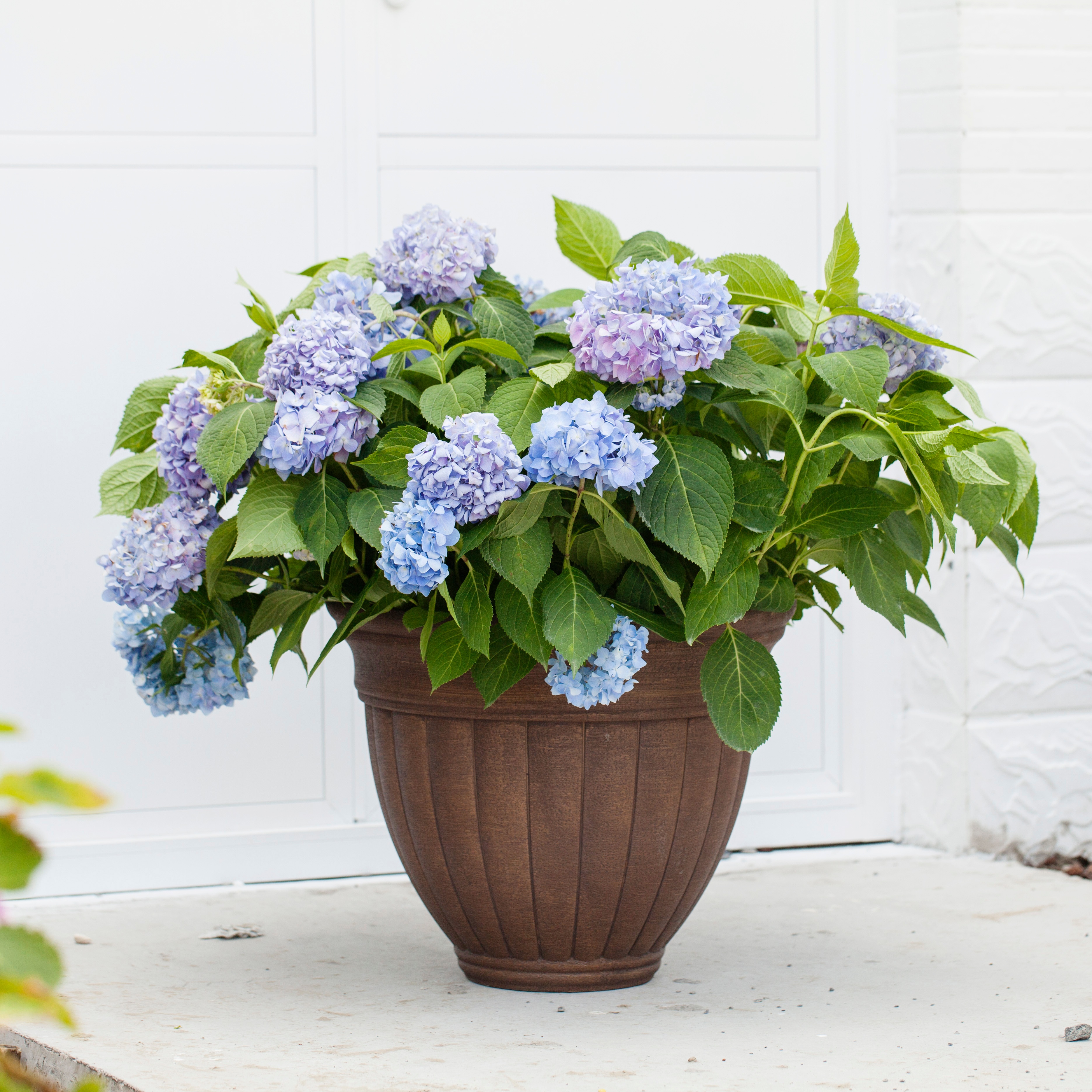 16 Inch EB Stone Look European Wide Opening Flower Pot for Garden