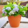 15-Inch HDPE Smooth European Roman Wide Opening Flower Pot for Garden