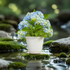 6-Inch PP Smooth Minimalist Japanese Plant Pot for Indoor