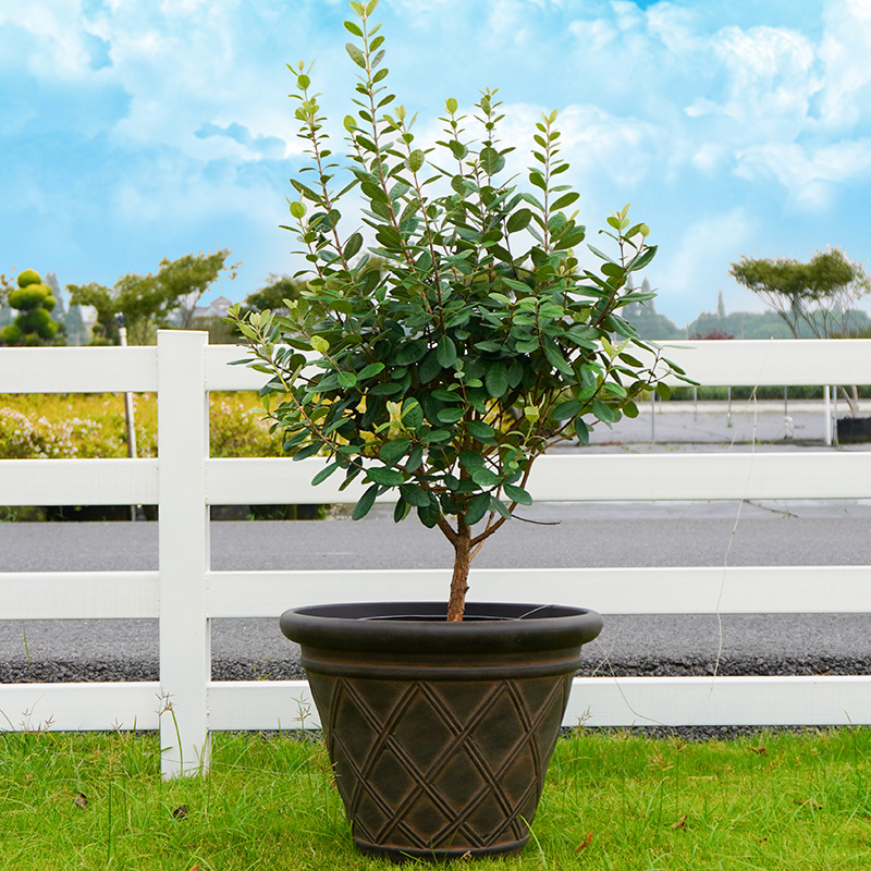 12 Inch EB Stone Look European Wide Opening Flower Pot for Patio