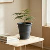 12 Inch HDPE Industrial Tall Plastic Planter for Commercial Entrance
