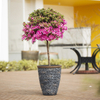 15 Inch HDPE Tall Stone Look Farmhouse Outdoor Planter for Terrace