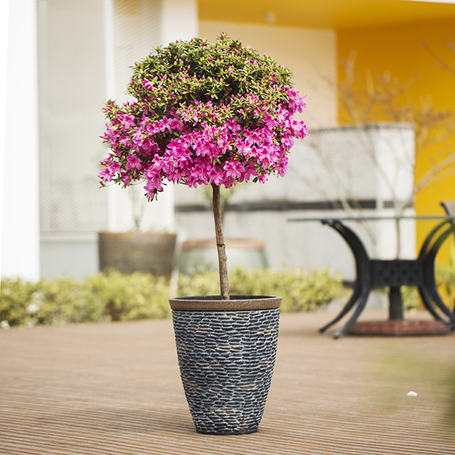 15 Inch HDPE Tall Stone Look Farmhouse Outdoor Planter for Terrace