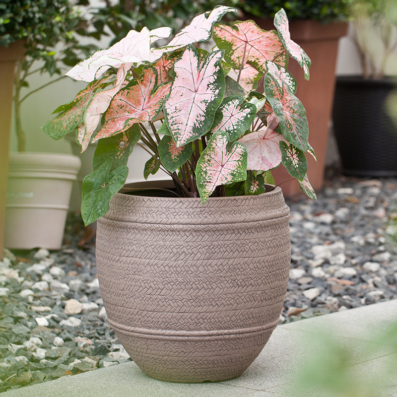 15 Inch HDPE Egg Shape Rattan Look Large Planter for Commercial Space
