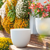 14 Inch HDPE Matte Minimalist Egg Shape Indoor Flower Pot for Home
