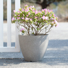 9 Inch EB Concrete Look Minimalist Plastic Planter for Office Desk