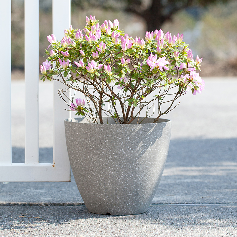 9 Inch EB Concrete Look Minimalist Plastic Planter for Office Desk