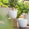 14 Inch HDPE Matte Minimalist Egg Shape Indoor Flower Pot for Home